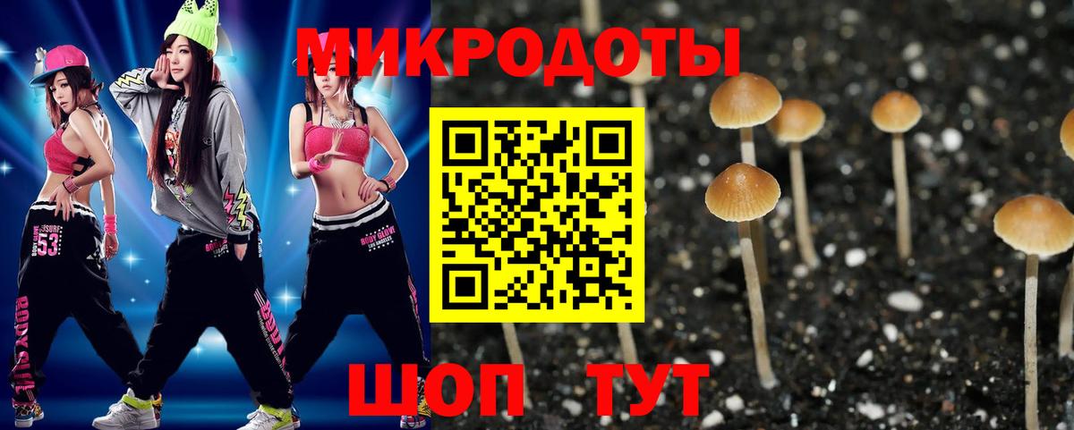 Псилоцибиновые грибы Psilocybine cubensis Вятские Поляны